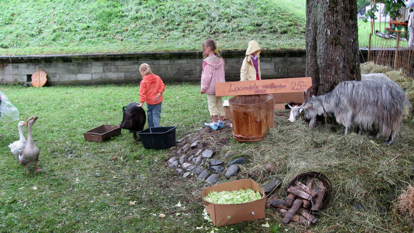 Children looking at animals at Hansa festival in Pärnu