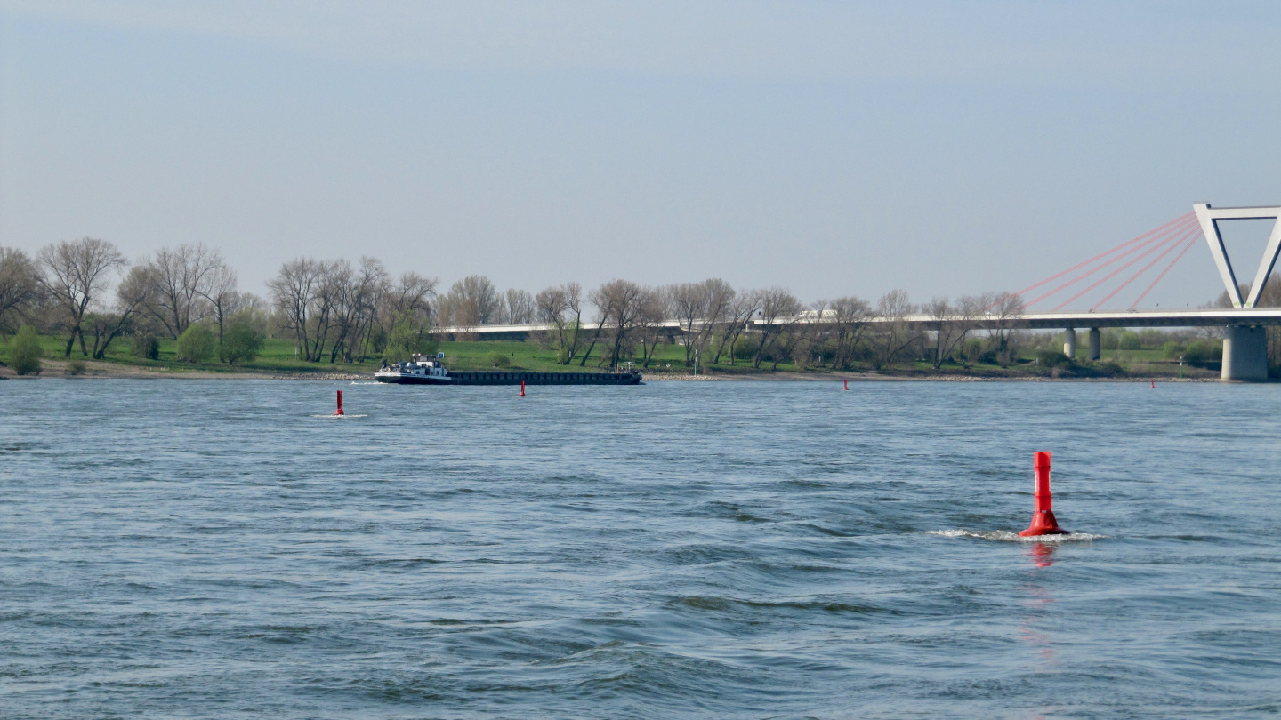 Lateral buoys on the river Rhine