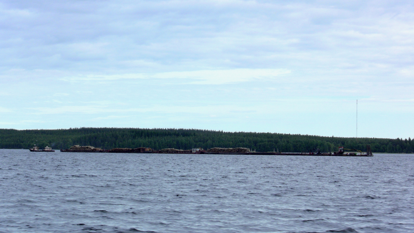 Barges of logs in Saimaa