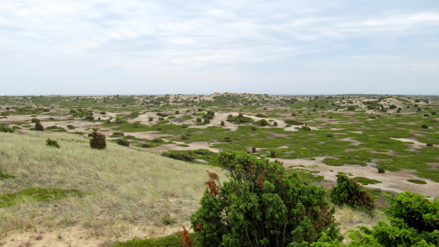 Ørkenen desert of Anholt island