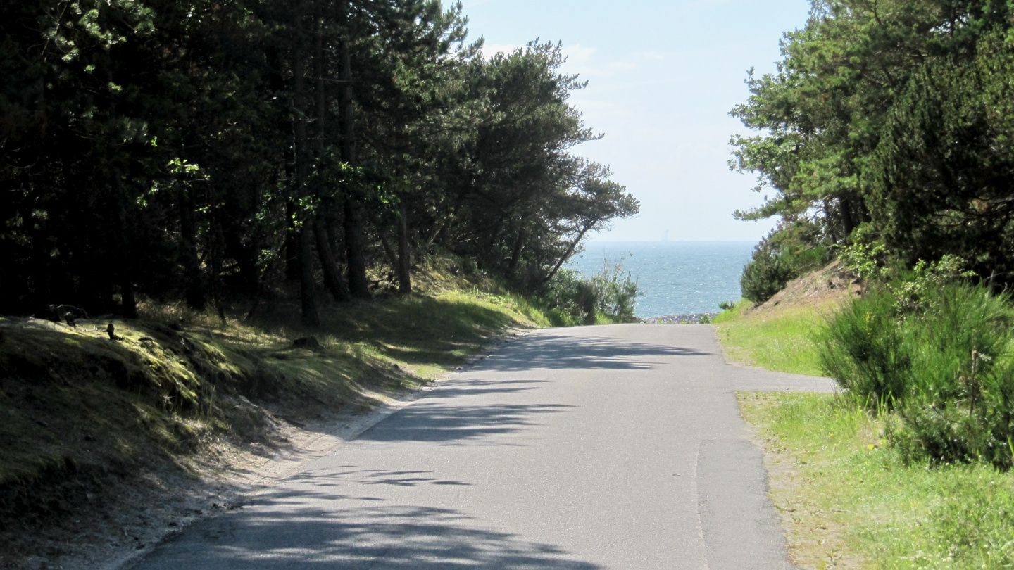 Forest road in the island of Anholt