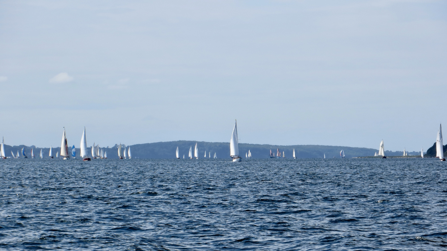 Dense boat traffic on the fjord of Flensburger Förde