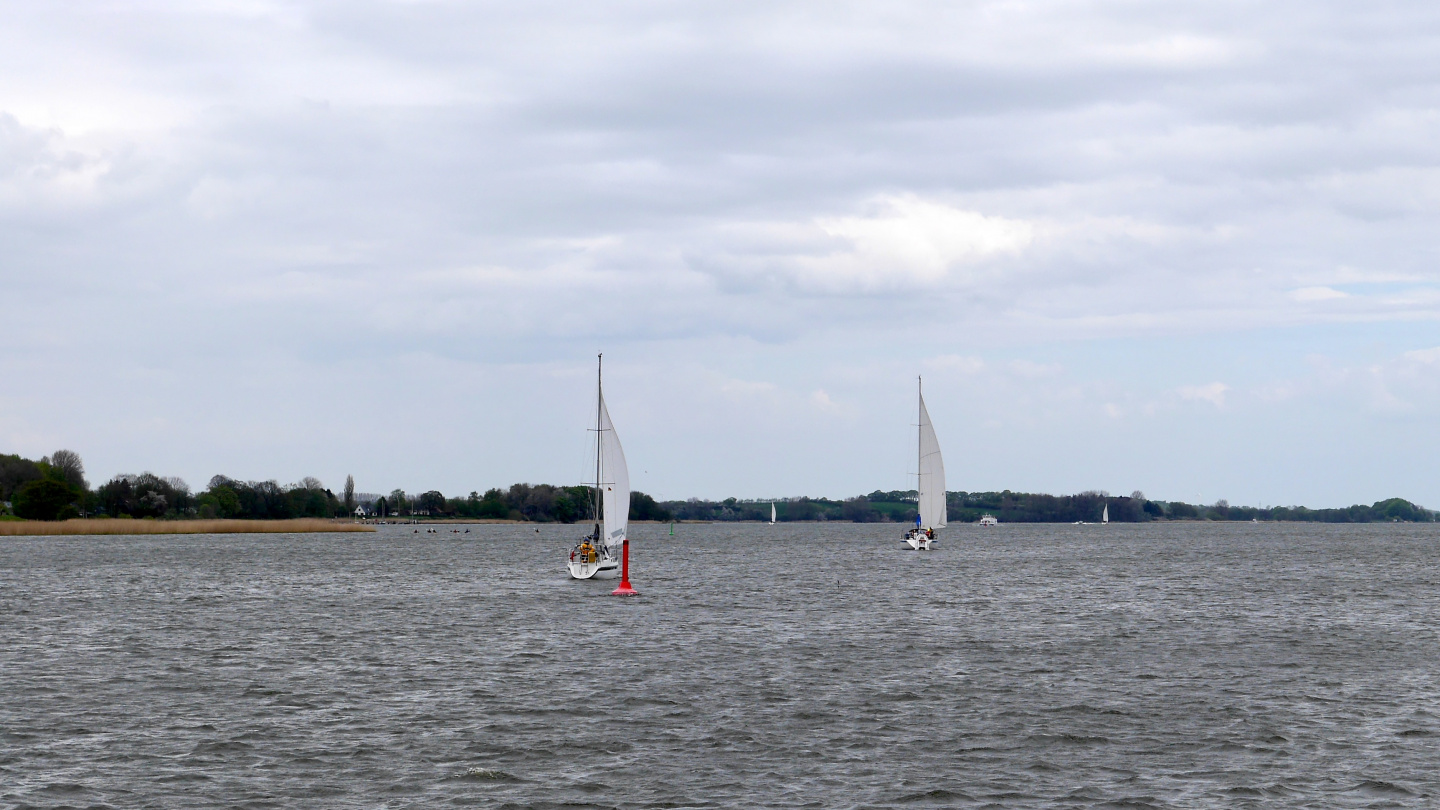 Sailing boats on Schlei