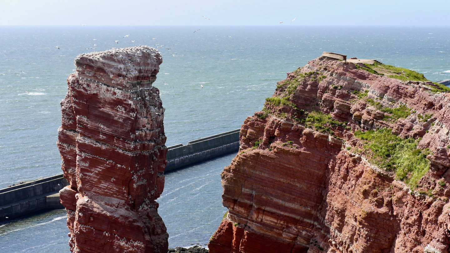 Lange Anna bird stack in Helgoland