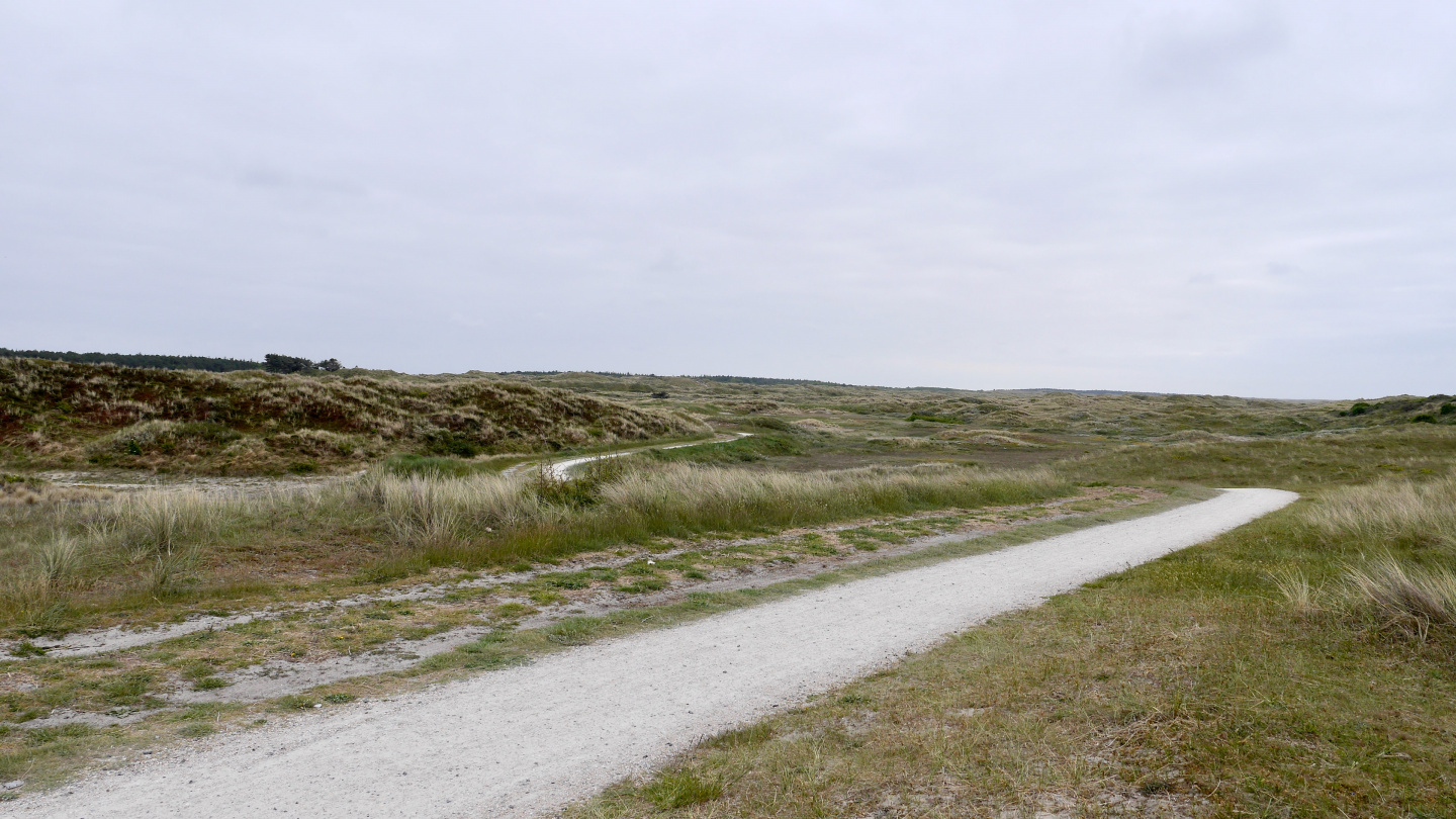 Polkupyöräreitti Vlielandin hiekkadyyneillä