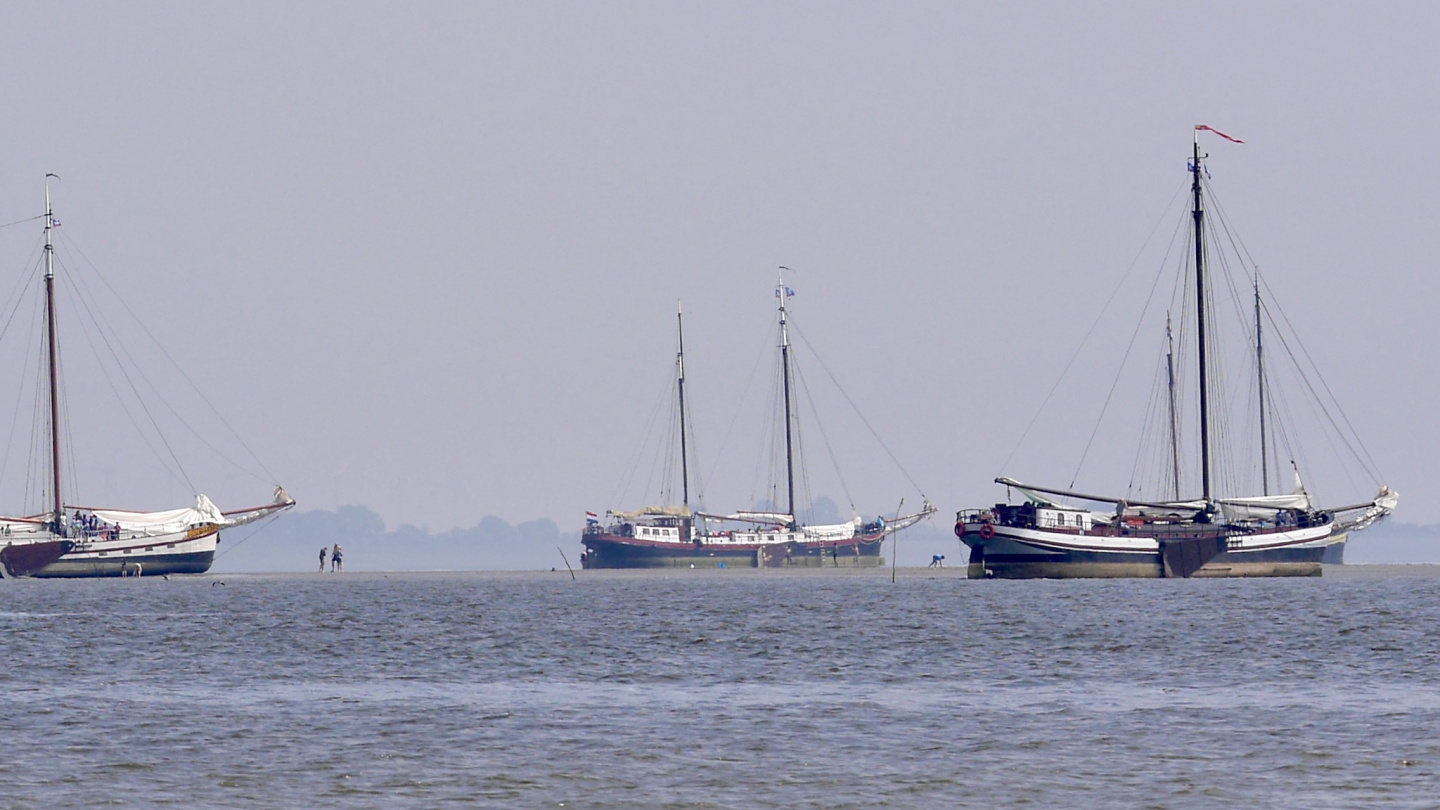 Sailing ships on Waddenzee at the low tide