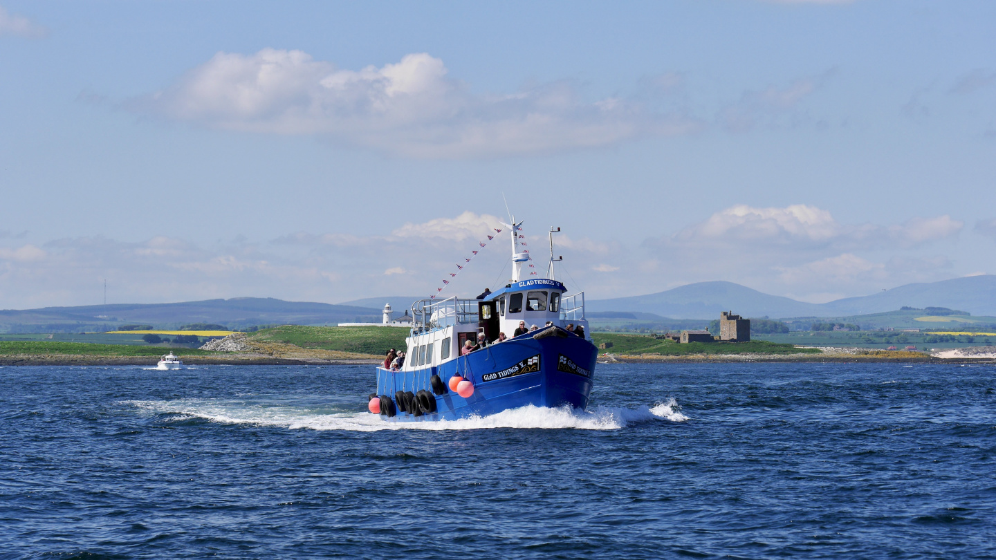 Lintubongareita matkalla Farne saarelle