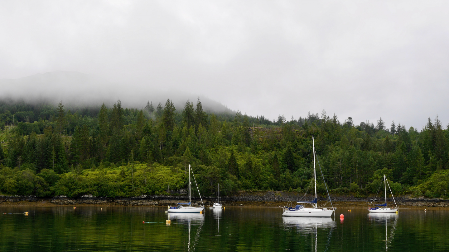 Misty morning in Plockton in Scotland