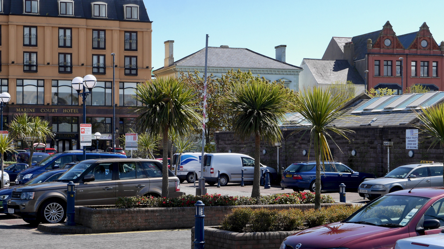 Palms at the parking of the Bangor marina