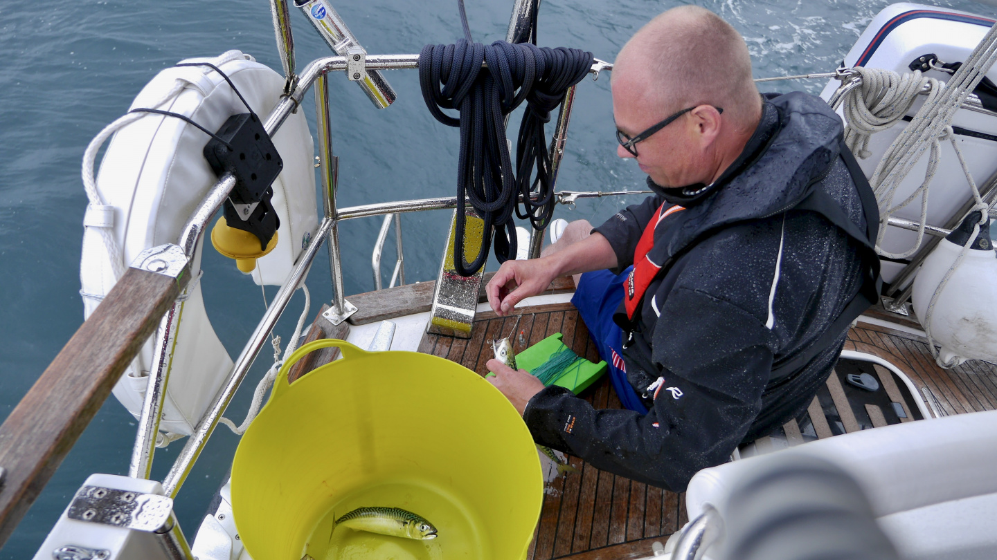 Esa and mackerel catch on the coast of Brittany