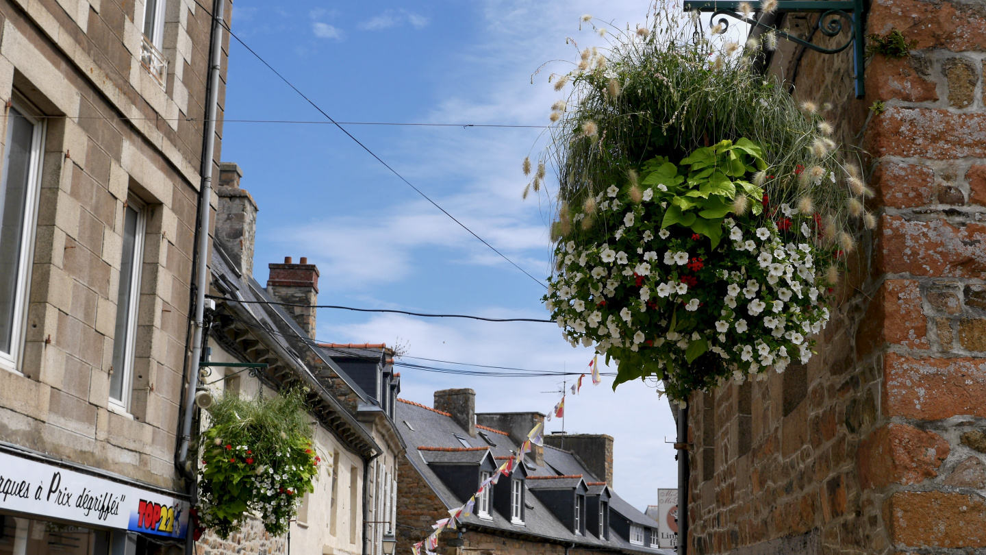 Flowers in Paimpol in Brittany