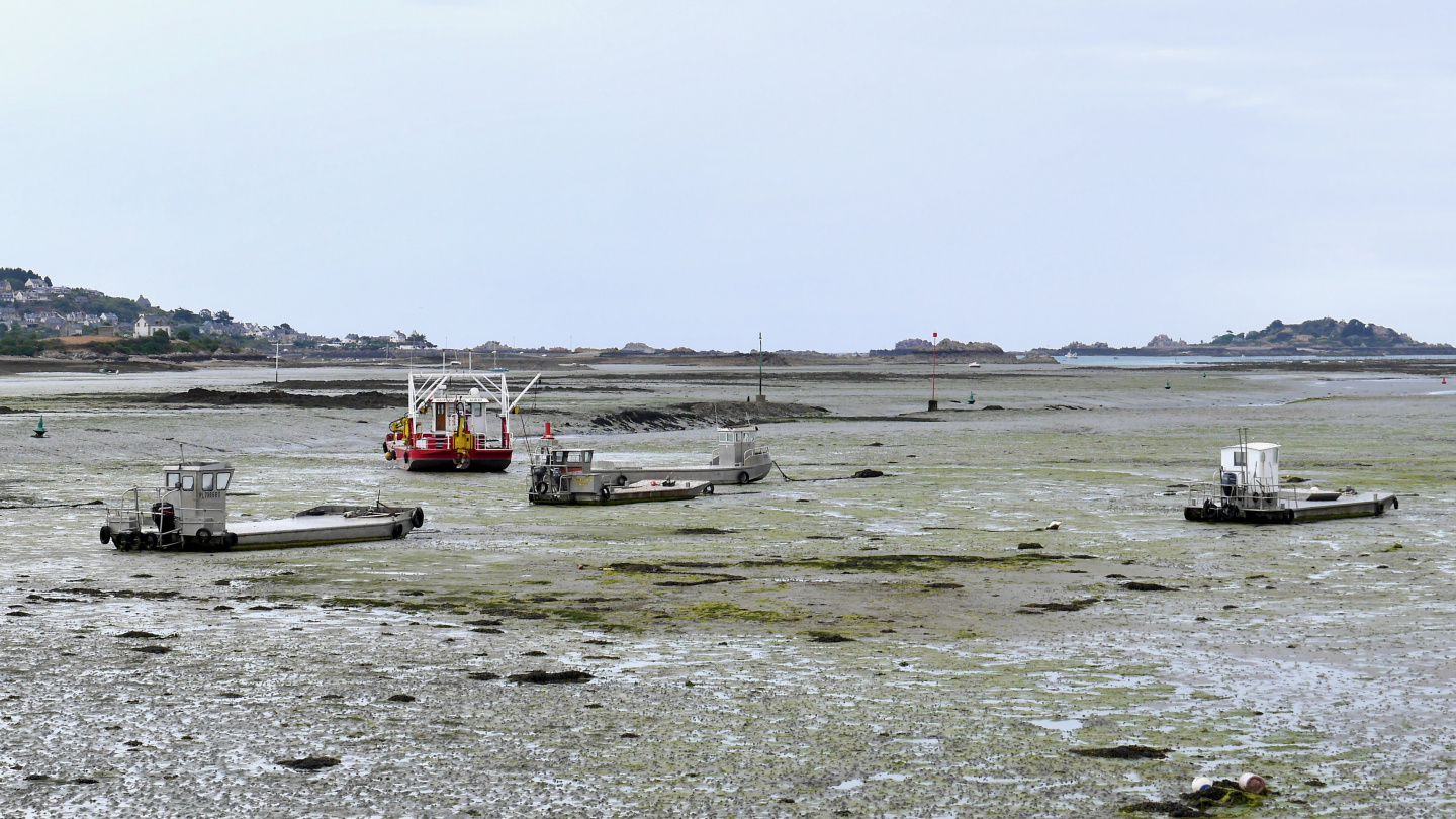 The entrance of Paimpol dries completely at low water