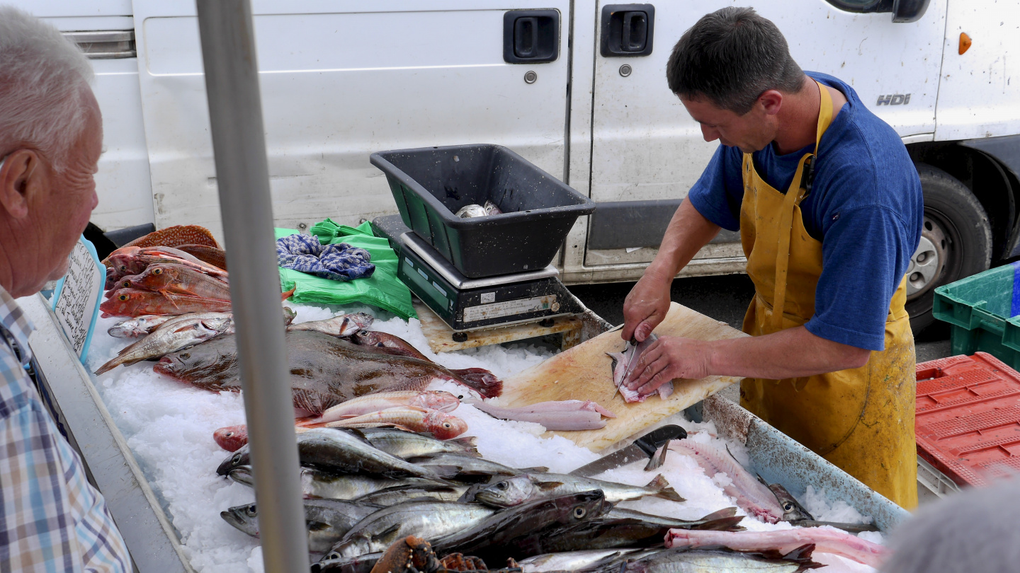 Fresh fish at the old harbour of Roscoff