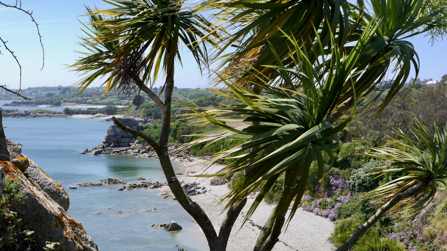 Tropical garden in Roscoff