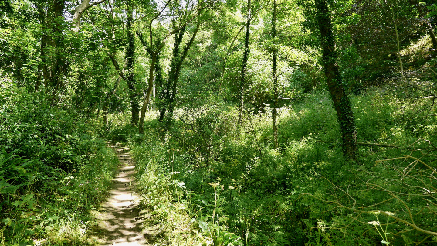 Footpath on the island of Sark