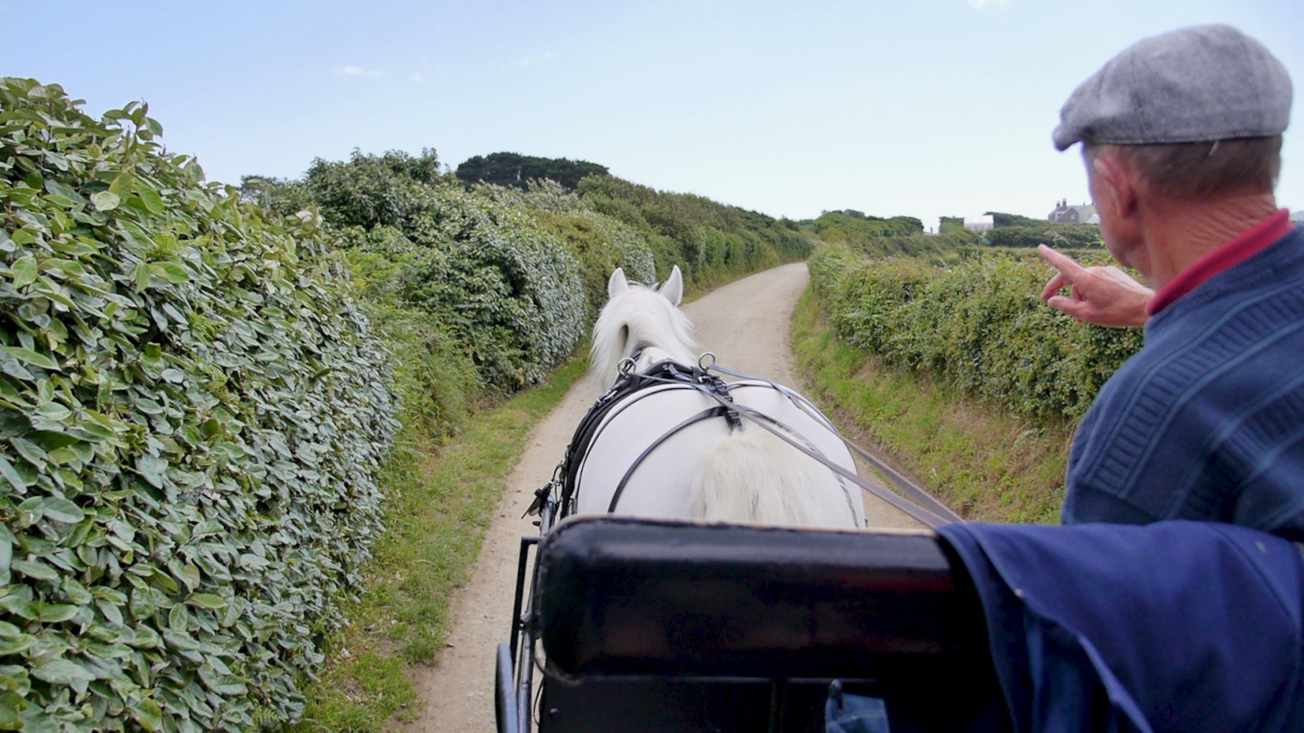 Touring with horse and carriage on the island of Sark