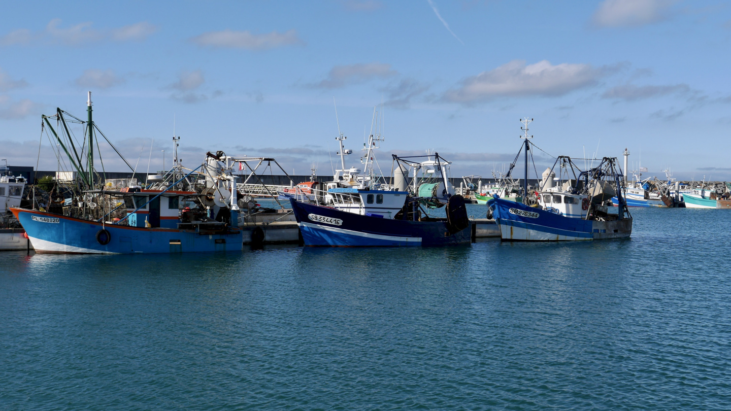 The fishing fleet of Saint Quay Portrieux