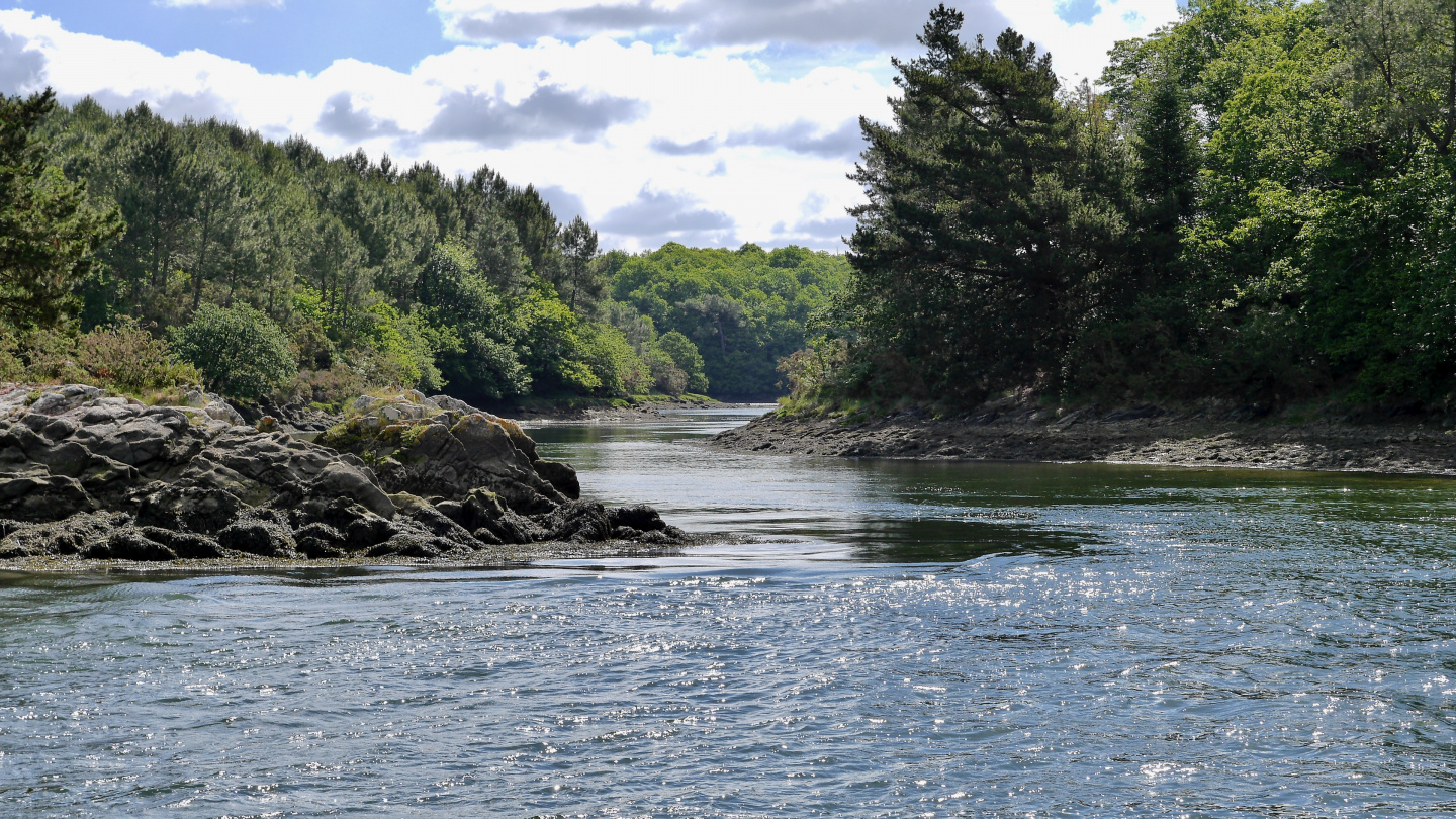 The branch of the river Odet in Brittany