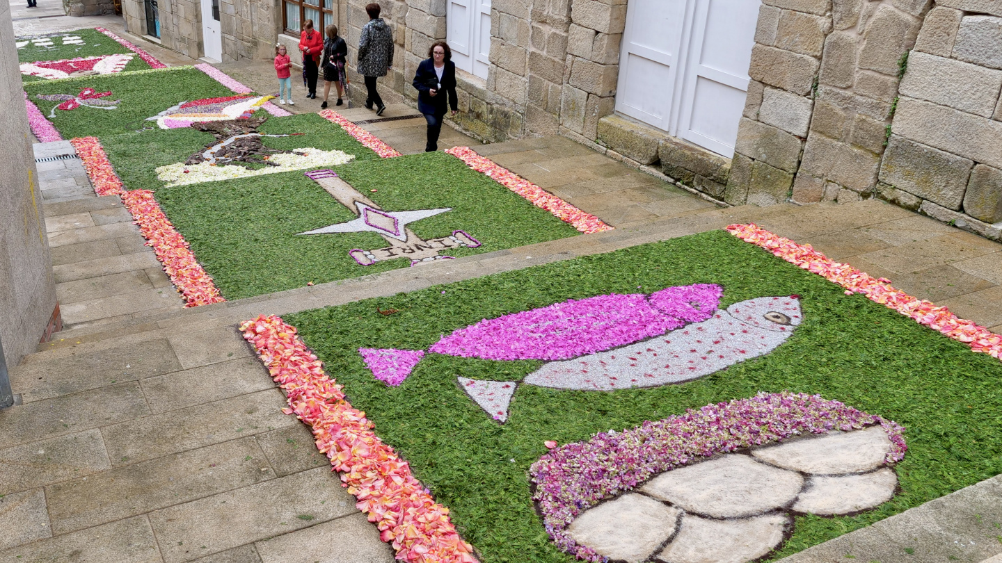 Flower carpets of Corpus Christi in Muros of Galicia