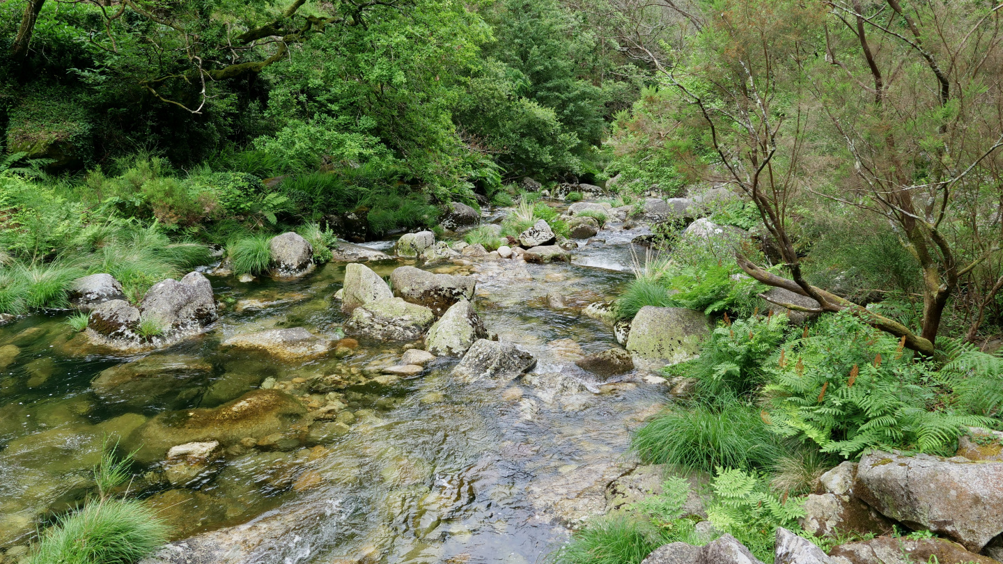 The river of río Pedras in Galicia