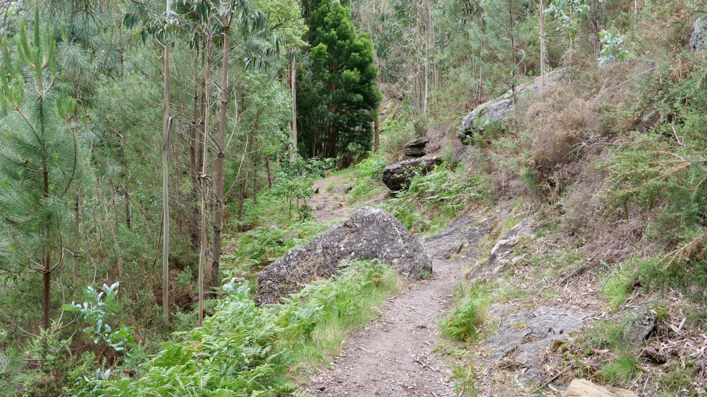 Hiking path by the river of río Pedras, Galicia