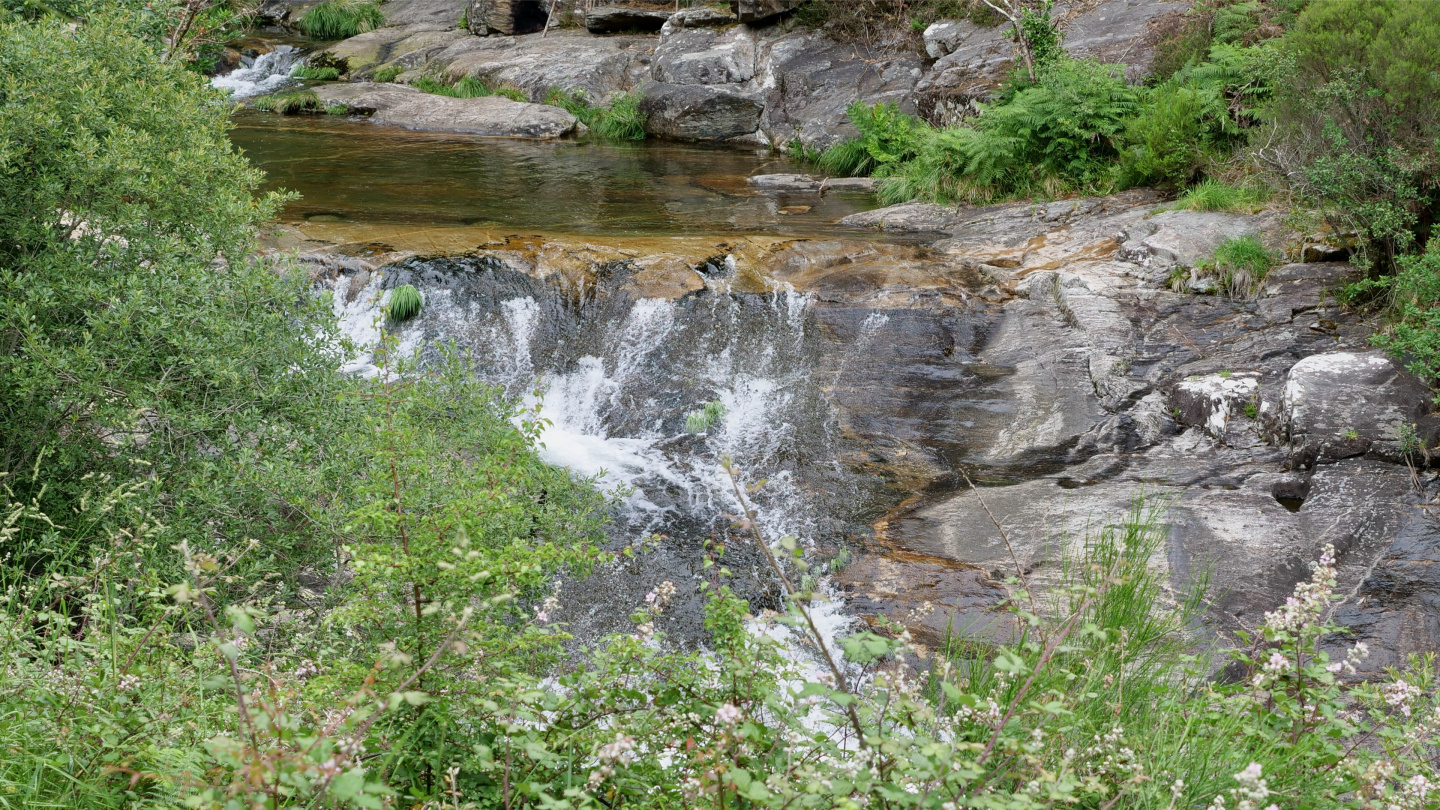 Rapids of río Pedras, Galicia