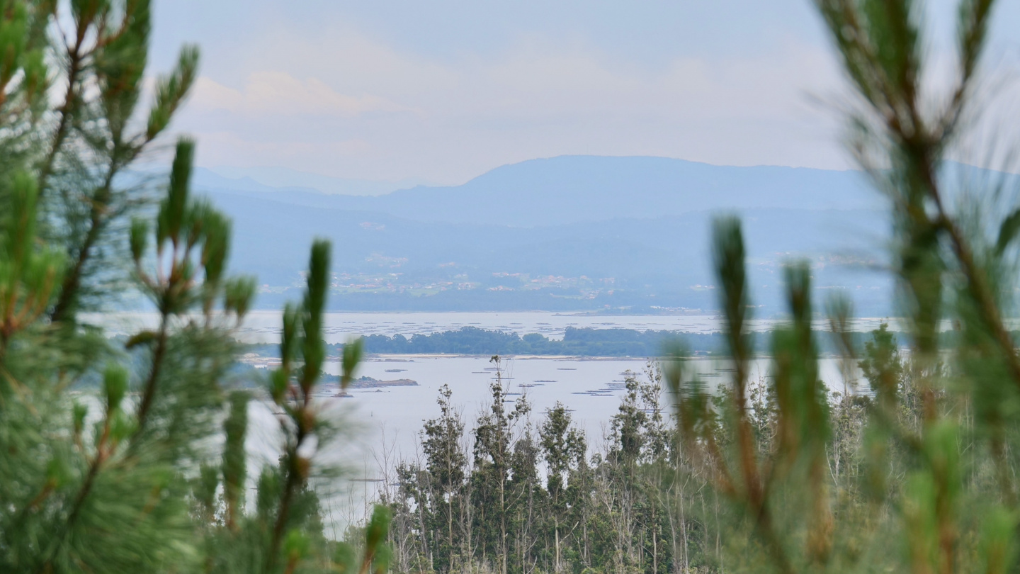 Ría de Arousa, Galicia