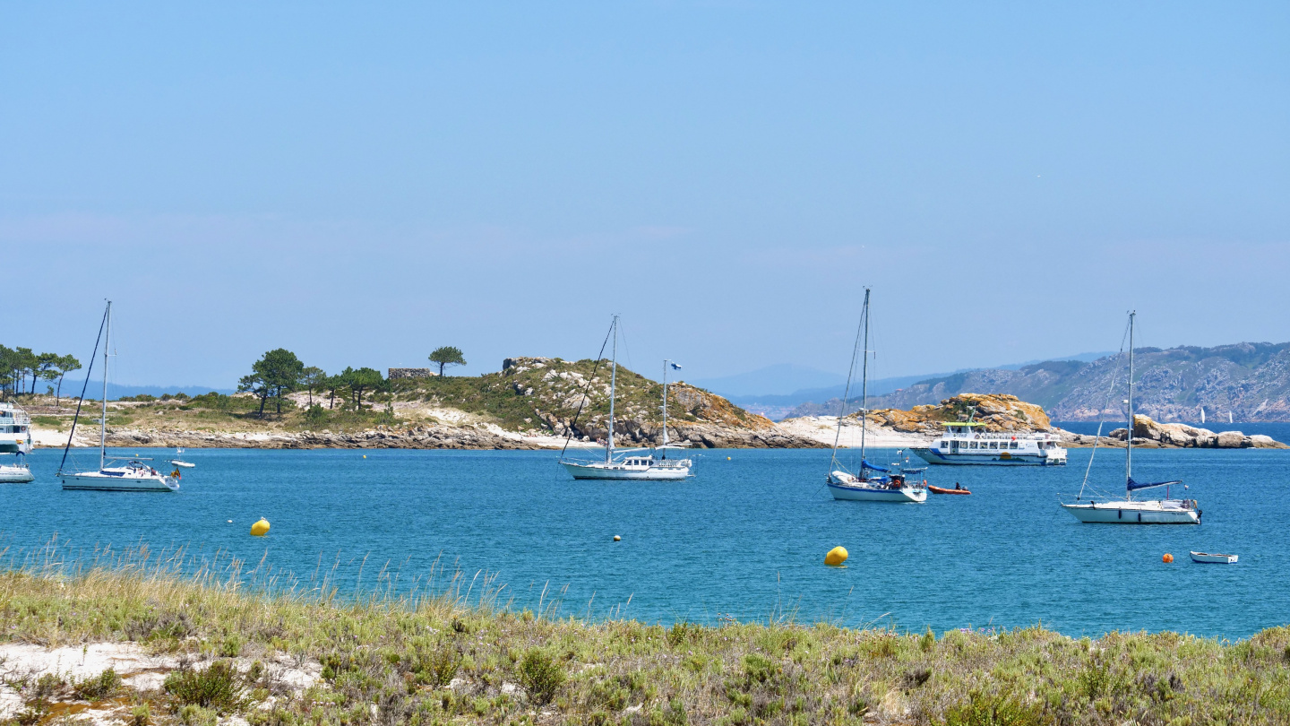 Suwena in the islands of Cíes, Galicia