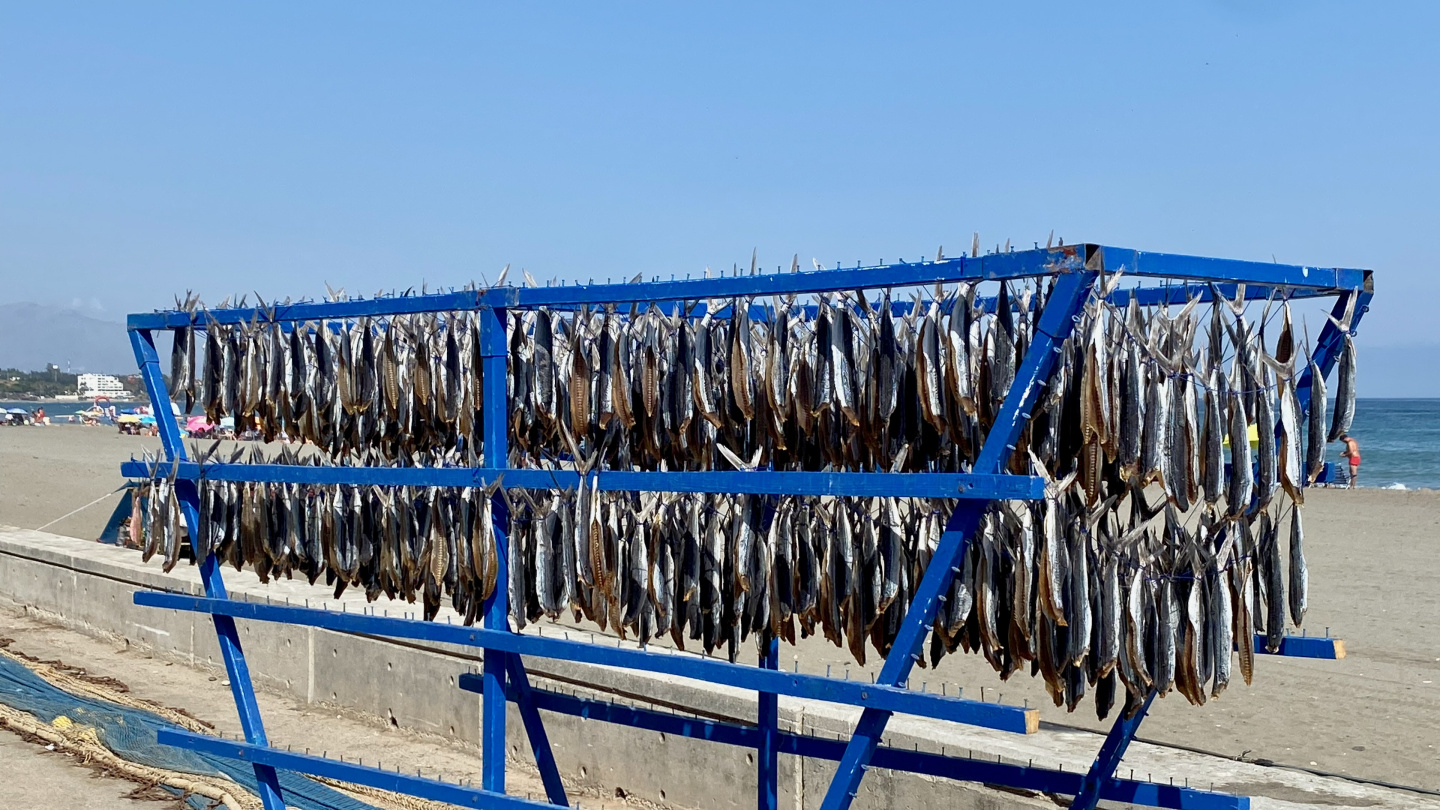 Salted fish on the beach of Estepona, Spain